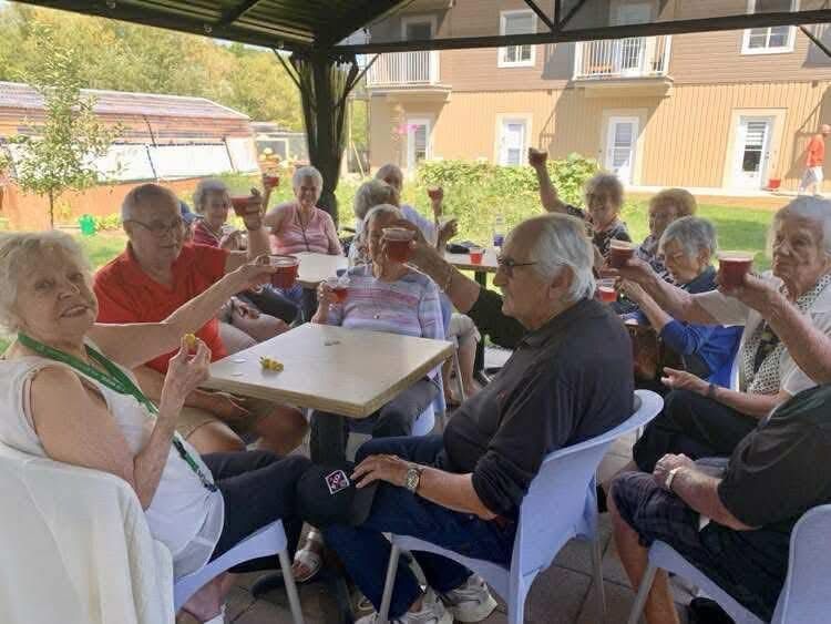 Un groupe de personnes assises à des tables en plein air sous un kiosque, levant leurs verres pour trinquer ensemble par une journée ensoleillée.