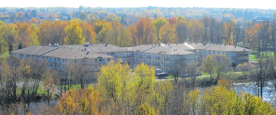 Un petit immeuble d'appartements niché parmi des arbres d'automne aux feuilles jaunes et orange sous un ciel dégagé.