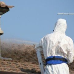 personale specializzato in disinfestazioni