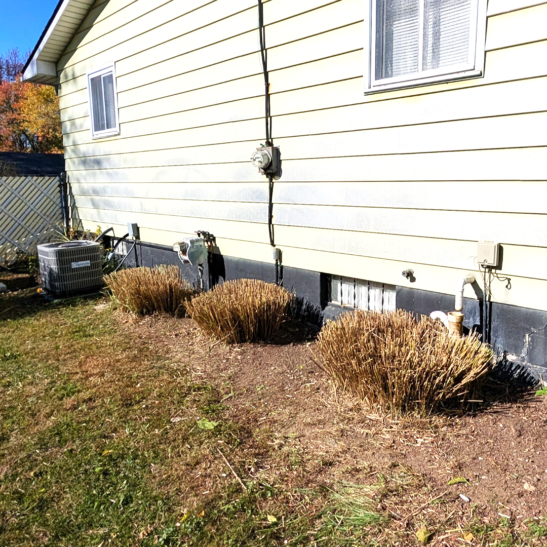 Landscaping project after 2