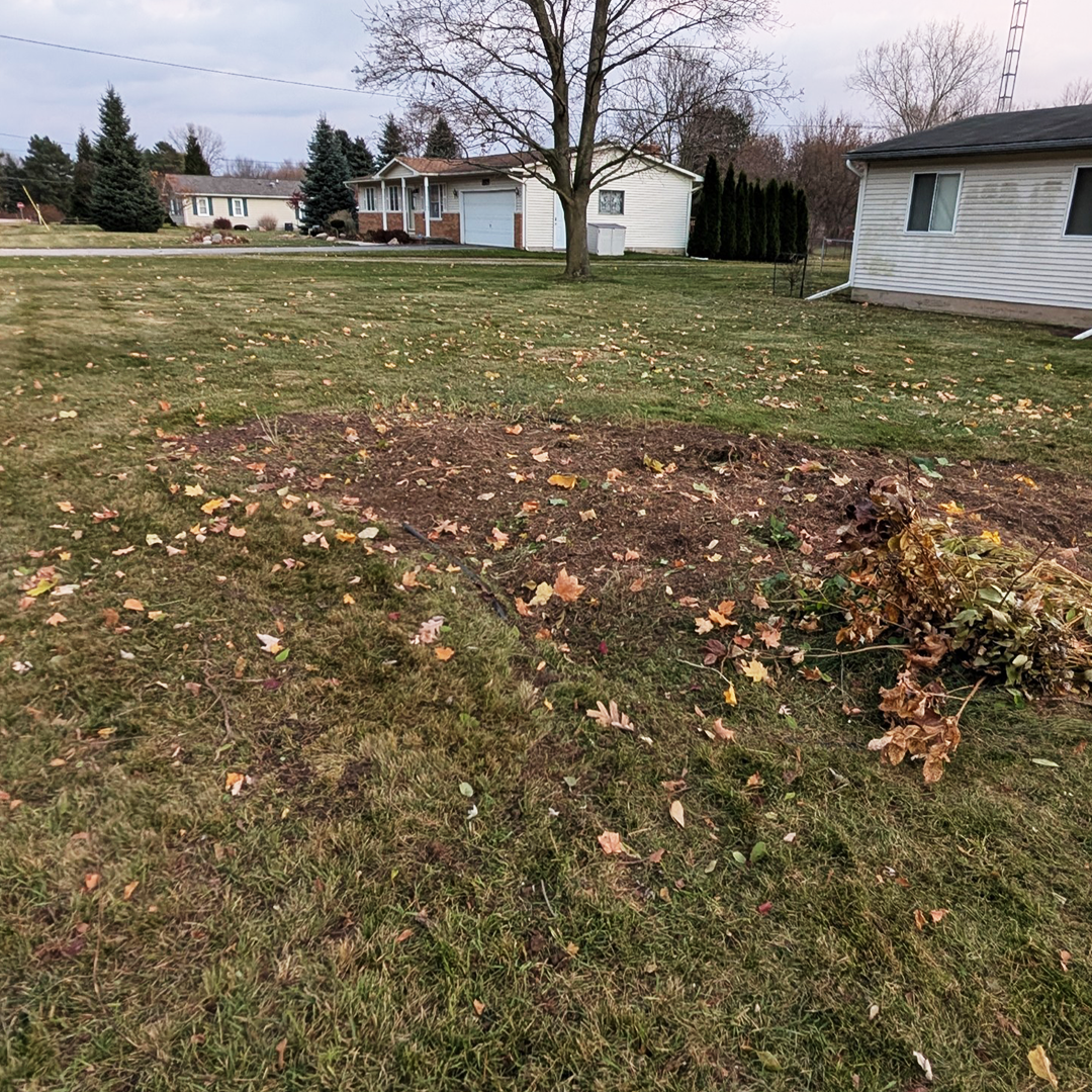 Landscaping project after 5