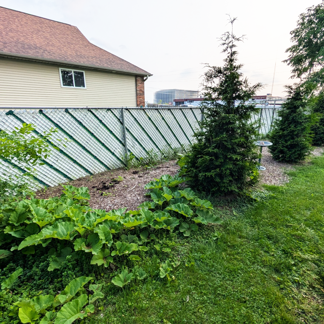 Landscaping project before