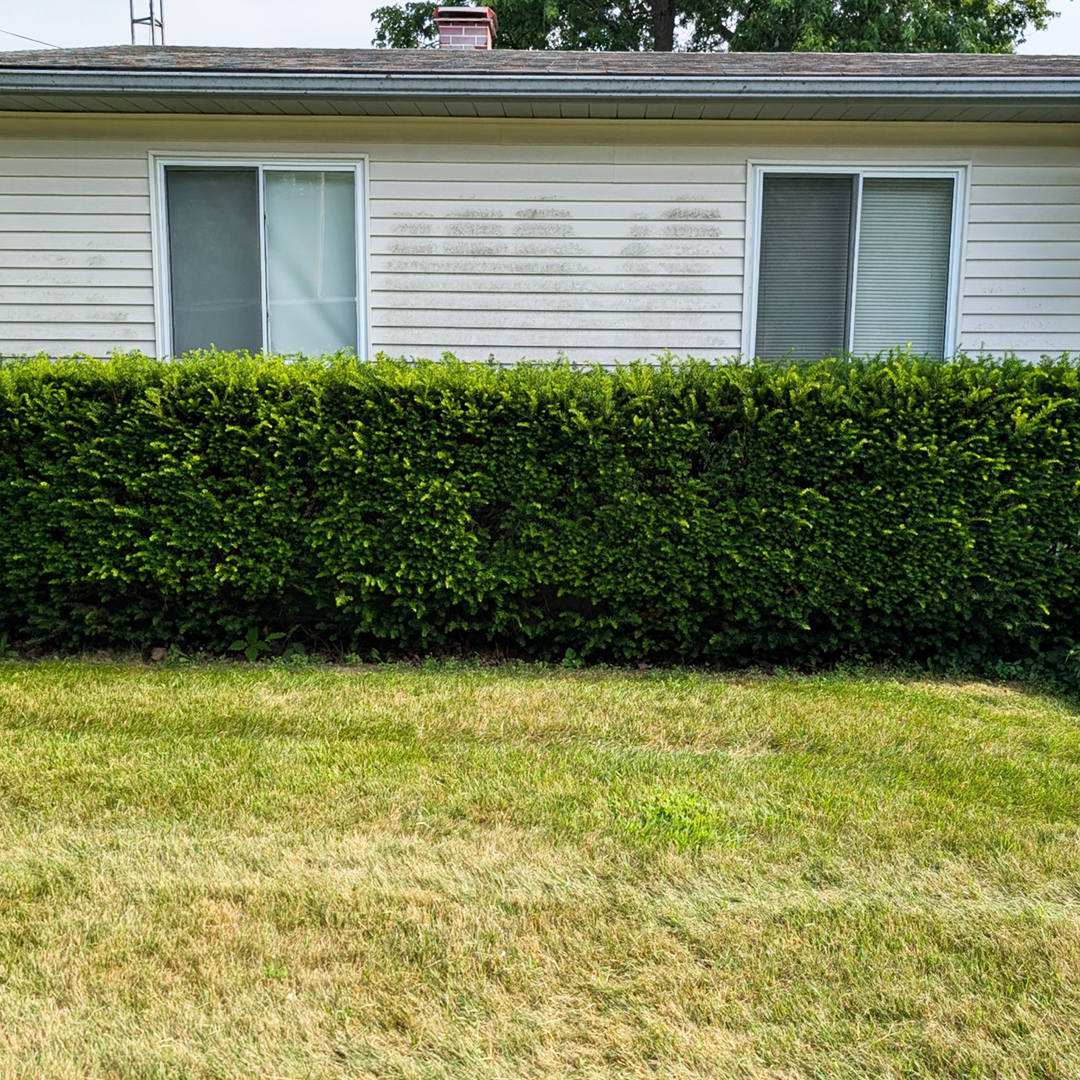 Landscaping project before 4