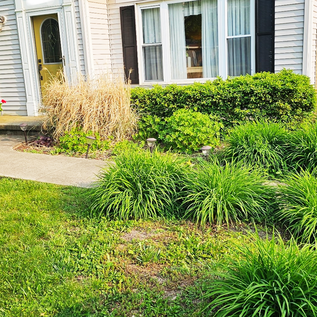 Landscaping Project 1 before