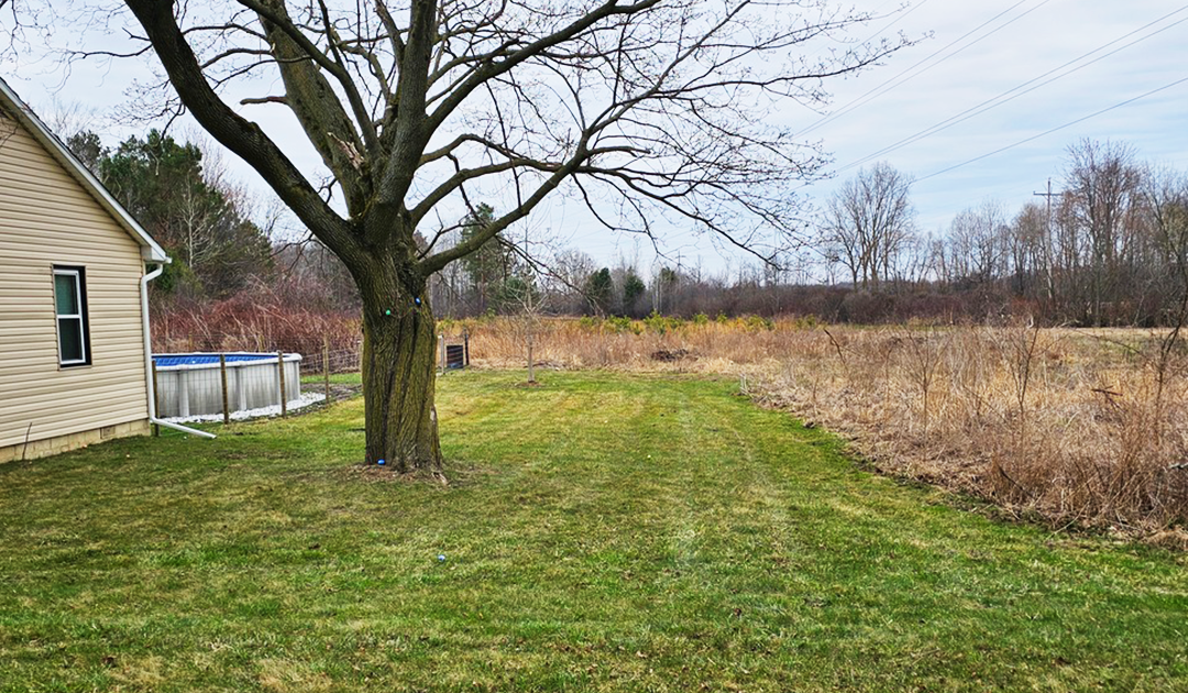 Premium Fairway fall cleanup project