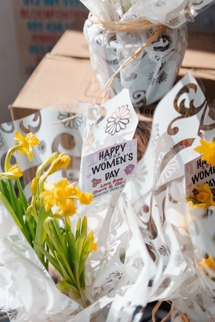 Yellow daffodils, wrapped gifts with