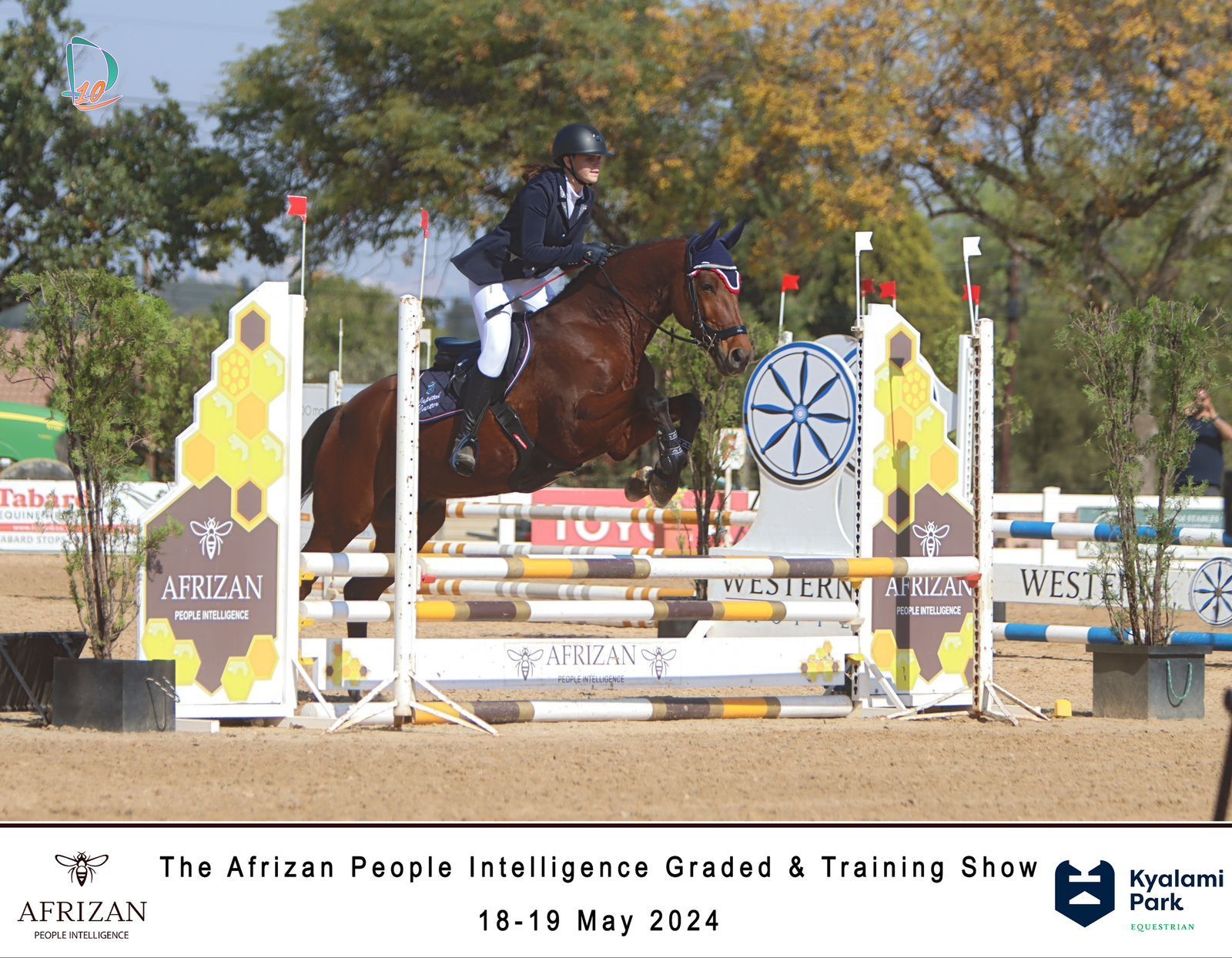 A person riding a brown horse jumping over a fence