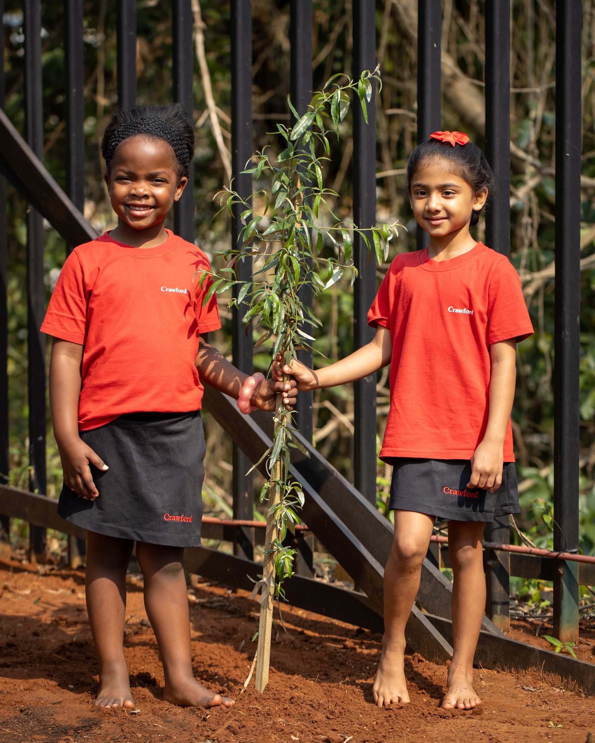 Two young girls are standing next to each other holding a small tree.