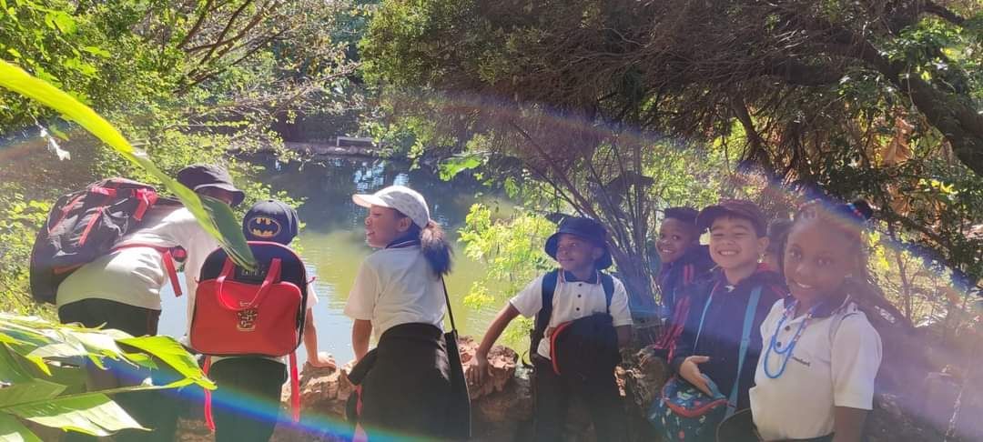 A group of children are standing in a forest.