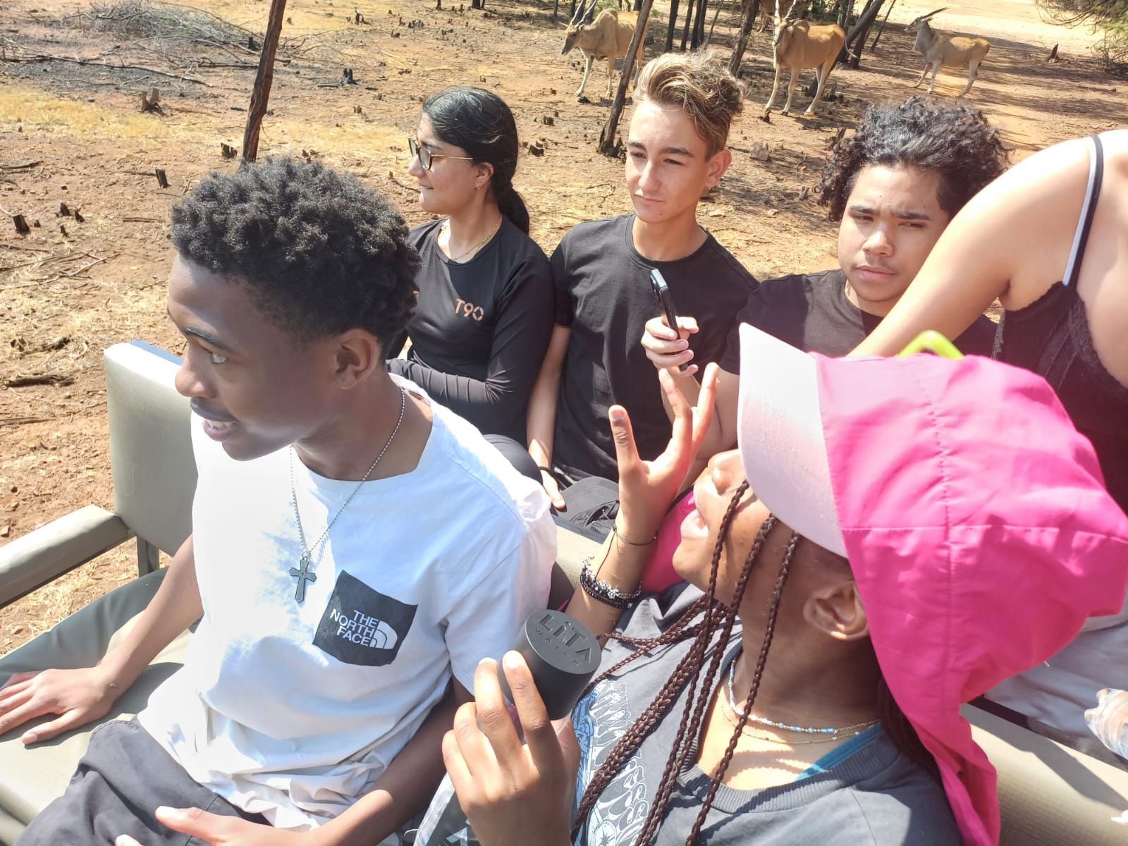 A group of people are sitting in a vehicle looking at animals