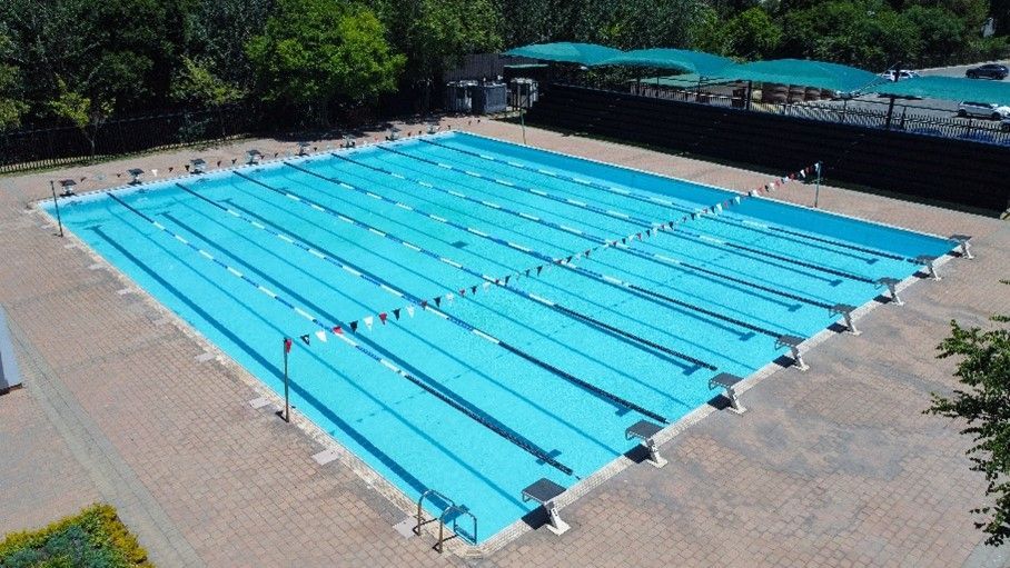an aerial view of a large swimming pool surrounded by trees .