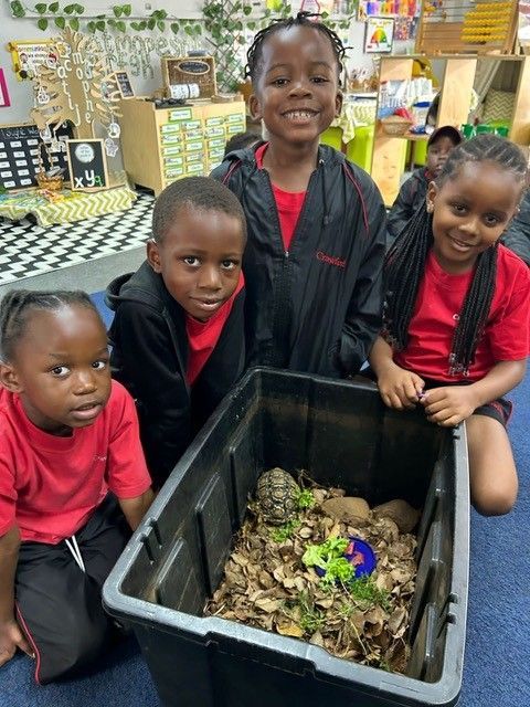 A group of children are posing for a picture in a classroom while holding a black container filled with potatoes.