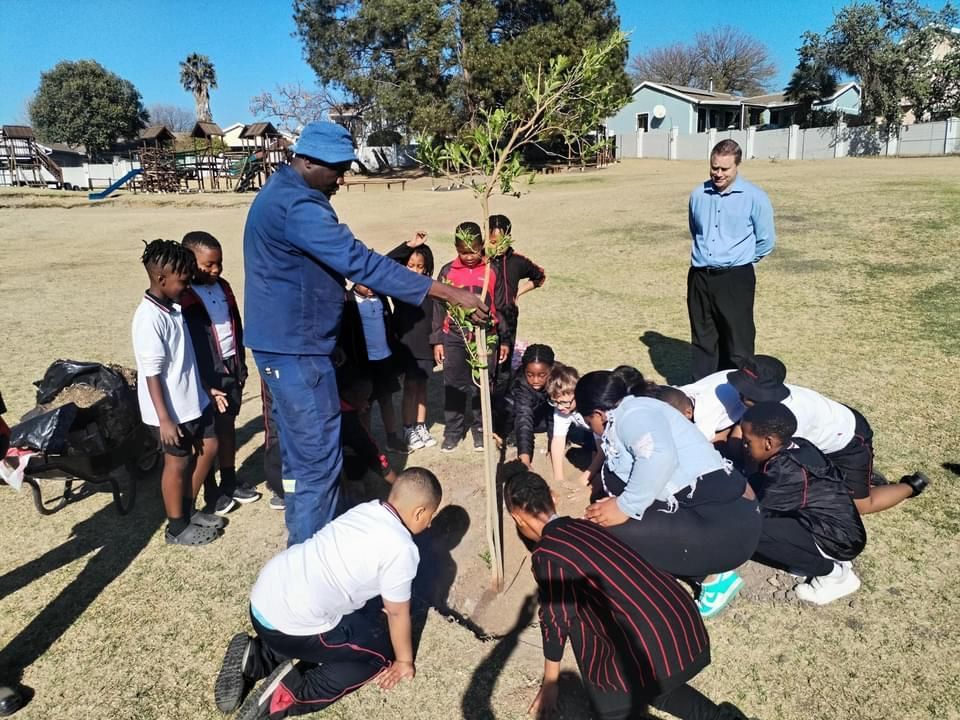 A group of people are planting a tree in a field.