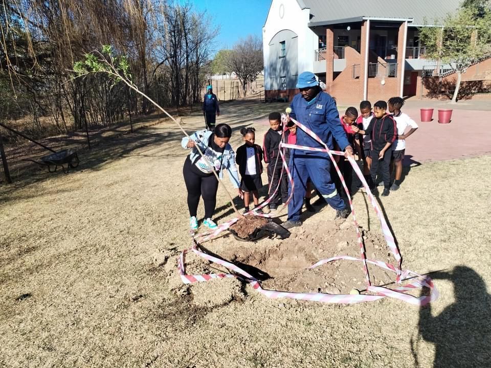 A group of people are planting a tree in a field.