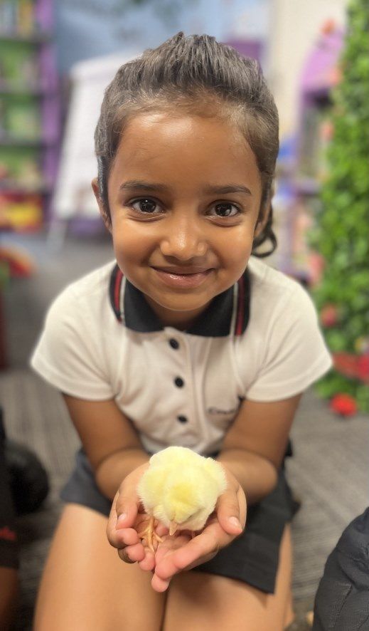 A little girl is holding a small yellow chicken in her hands.