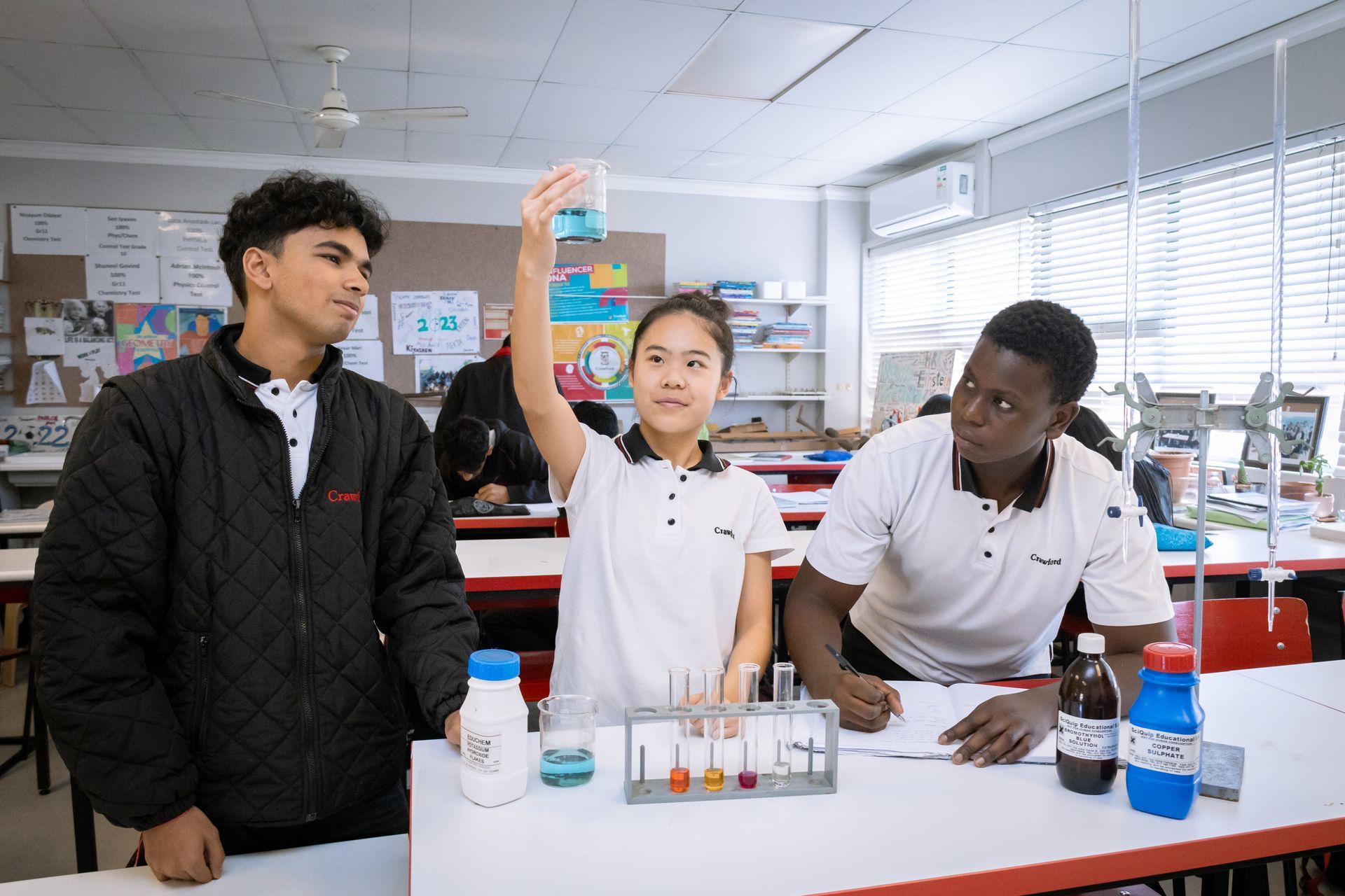 a model of the inside of a human body is sitting on a table .