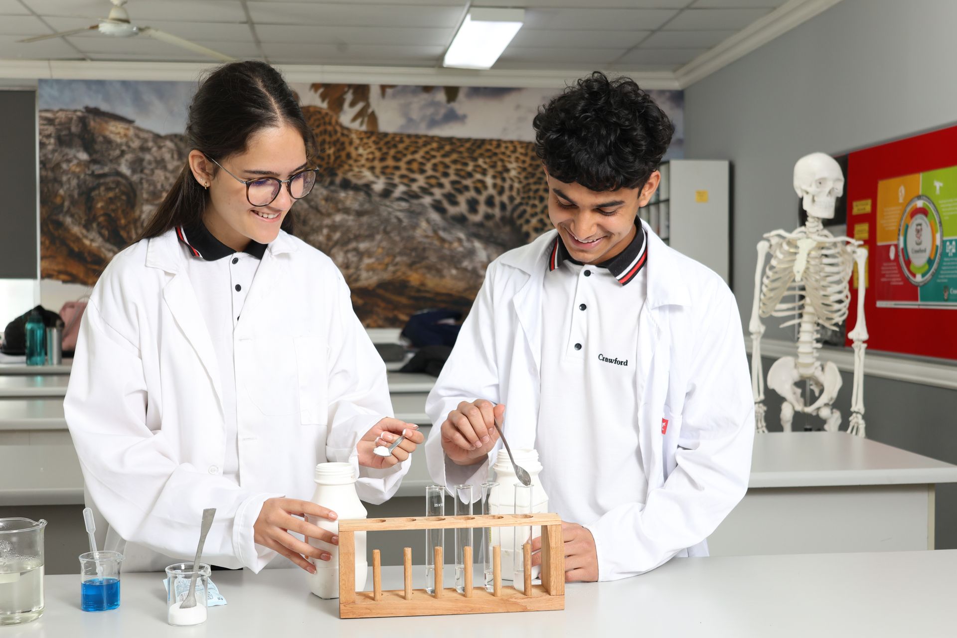 a row of test tubes and beakers on a table in a classroom .