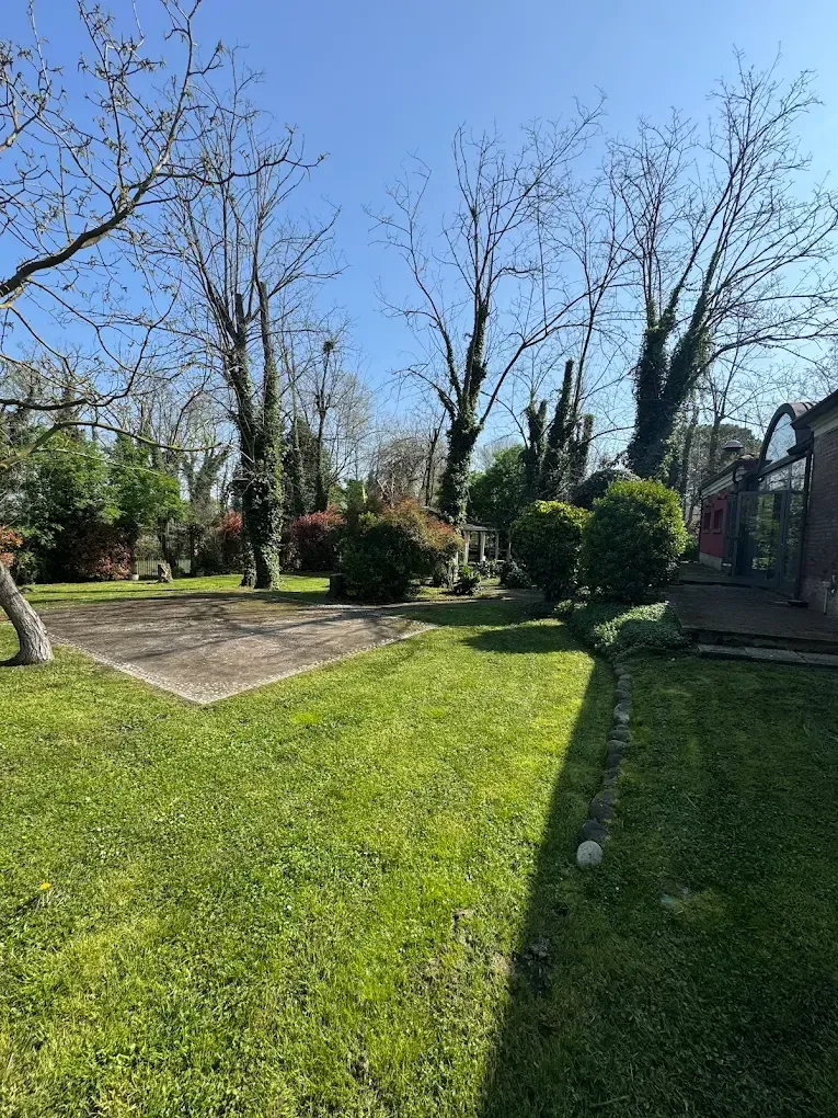 Giardino verde erboso con alberi, cespugli e un patio in cemento in una giornata di sole.