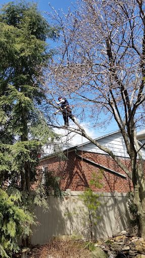 Don't take risks. Hire only a properly insured tree care company in Allentown, Bethlehem, and surrounding areas.