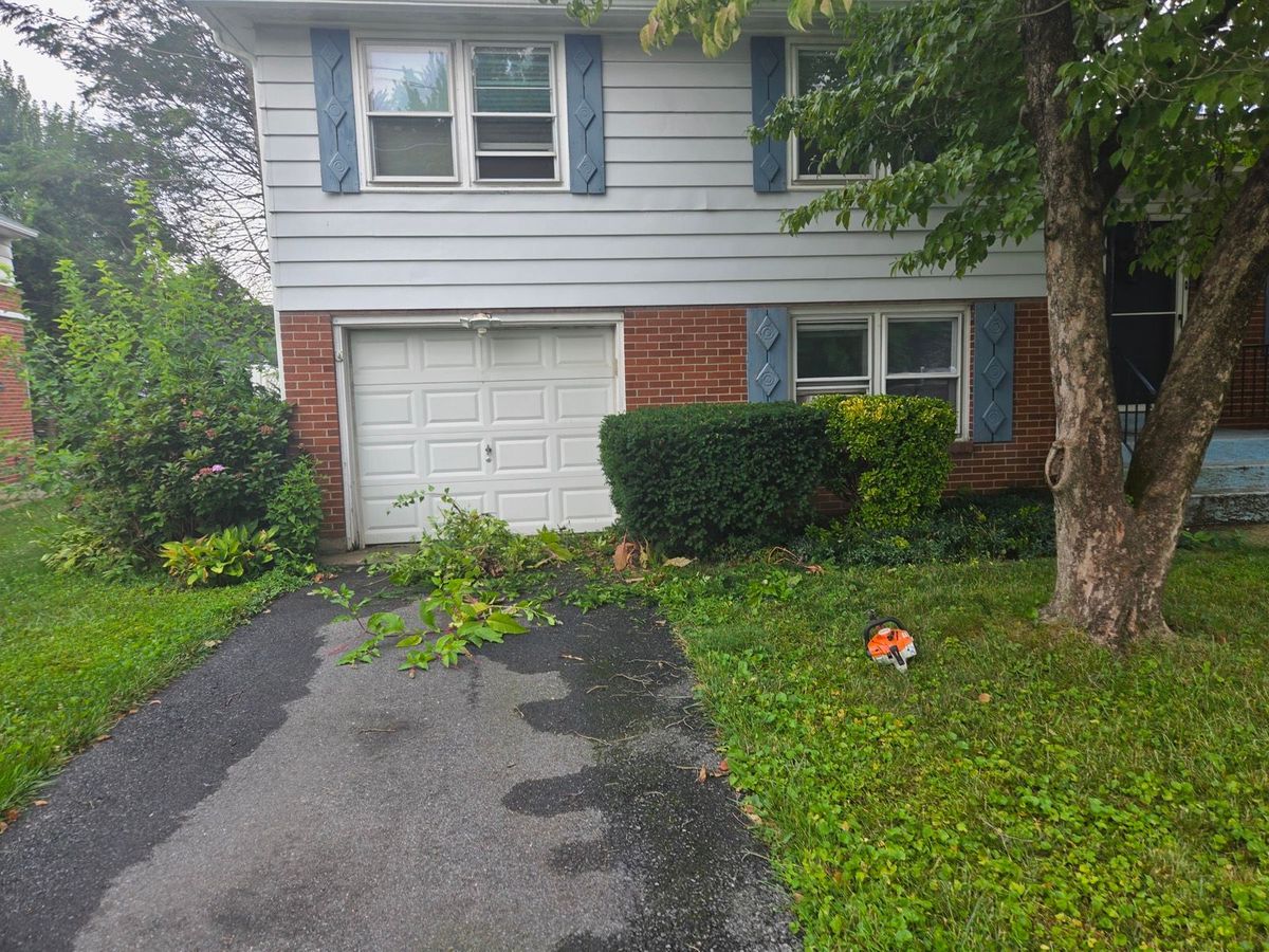 Front yard of an Allentown, PA home cleaned up after bush trimming, with a chainsaw resting on the lawn