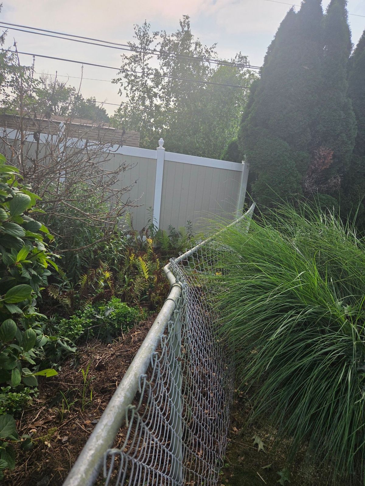 Residential chain link fence line cleared of brush with the fence visible again after clearing work