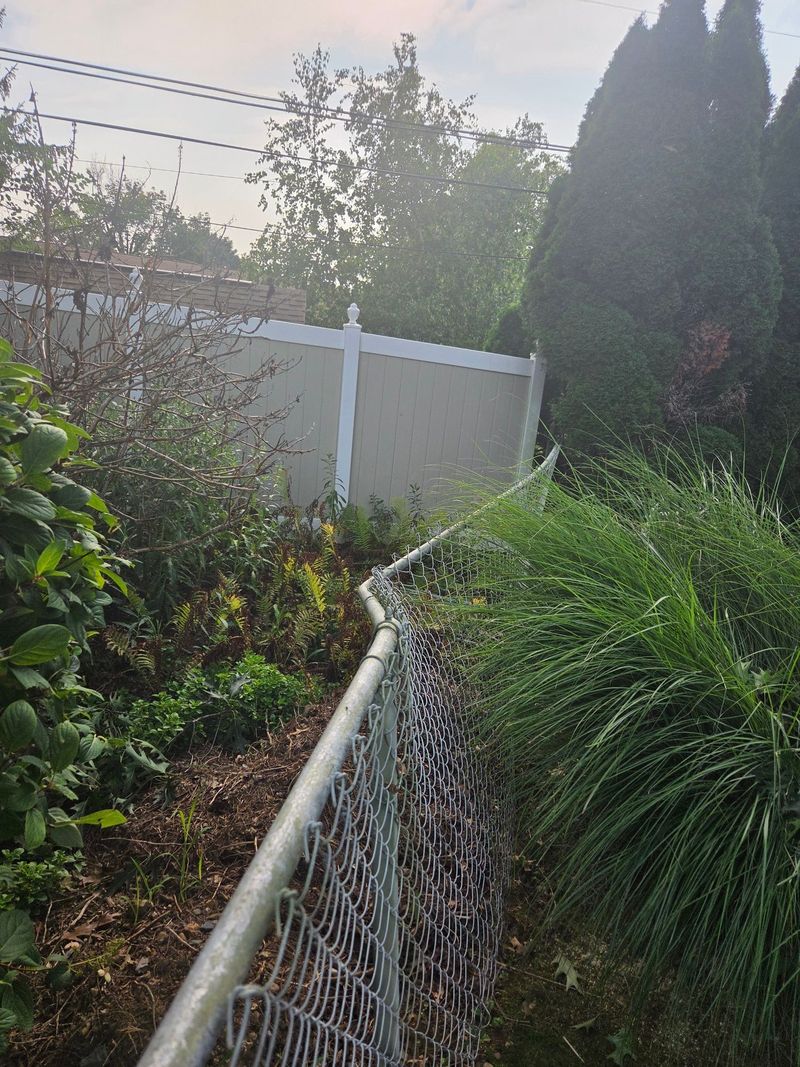 Residential chain link fence line cleared of brush with the fence visible again after clearing work