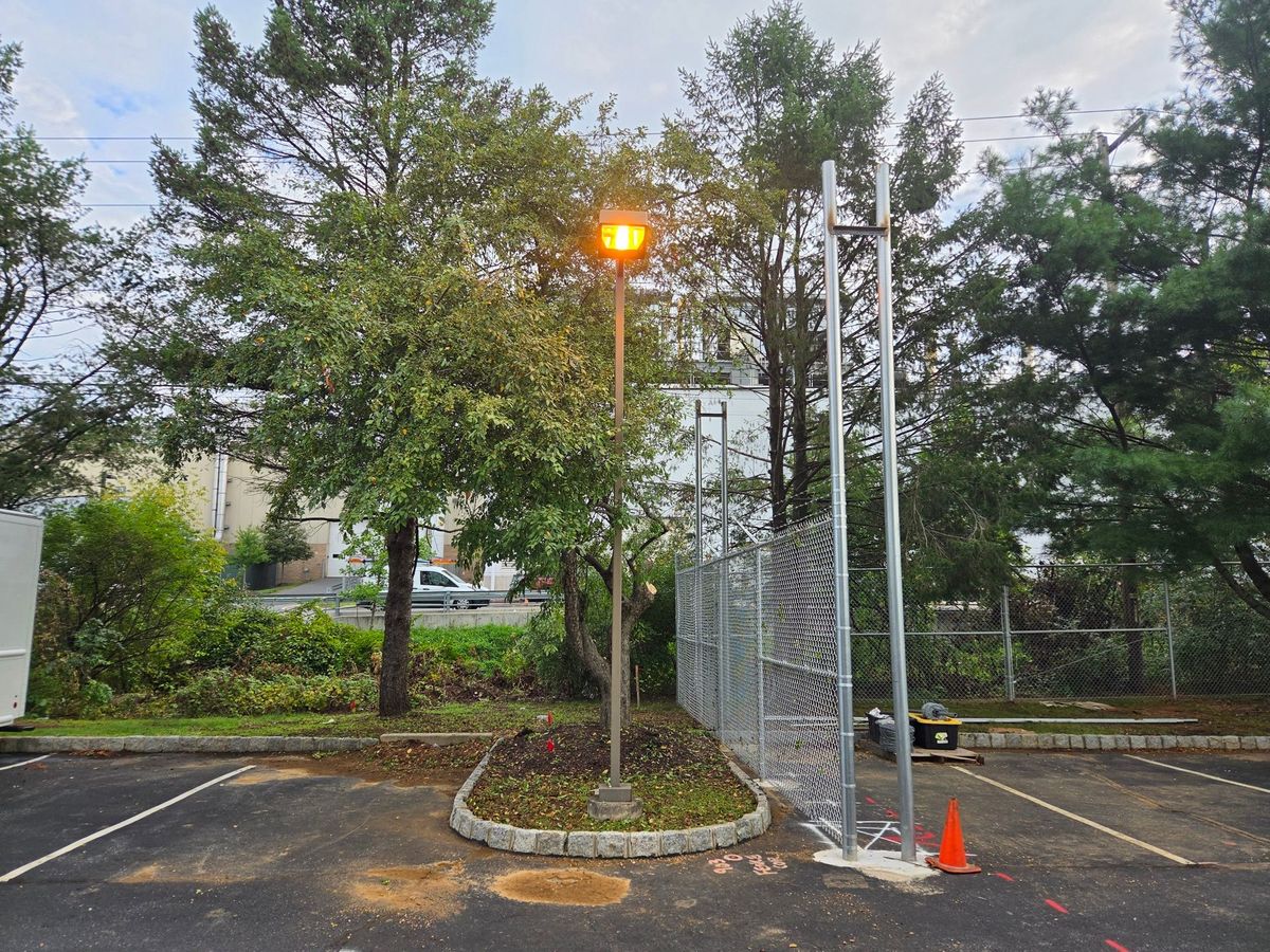 The same commercial parking lot with the tree cut back and the light pole clear after trimming