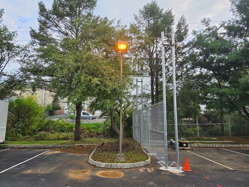 The same commercial parking lot with the tree cut back and the light pole clear after trimming