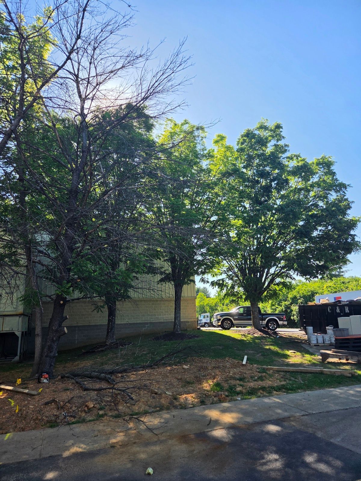 Dead trees beside a warehouse loading dock in Allentown, PA with an Eco Tree Service truck parked nearby
