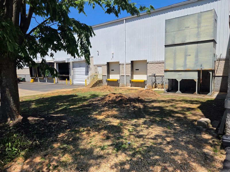 Commercial tree removal job on a larger property in the Lehigh Valley