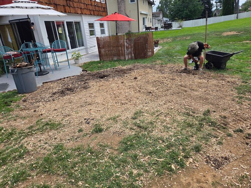 Eco Tree Service crew member raking up stump grindings into a wheelbarrow after a job