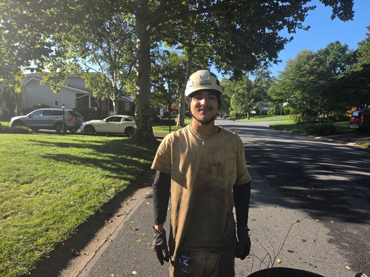 Eco Tree Service crew member wearing a climbing helmet and work gloves on a residential job in the Lehigh Valley