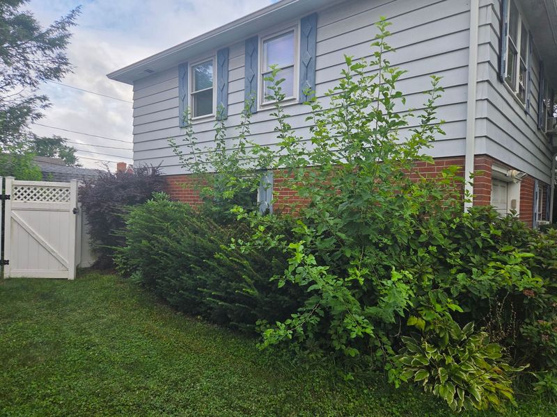 Overgrown bushes grown up above the windows of a Lehigh Valley home before trimming