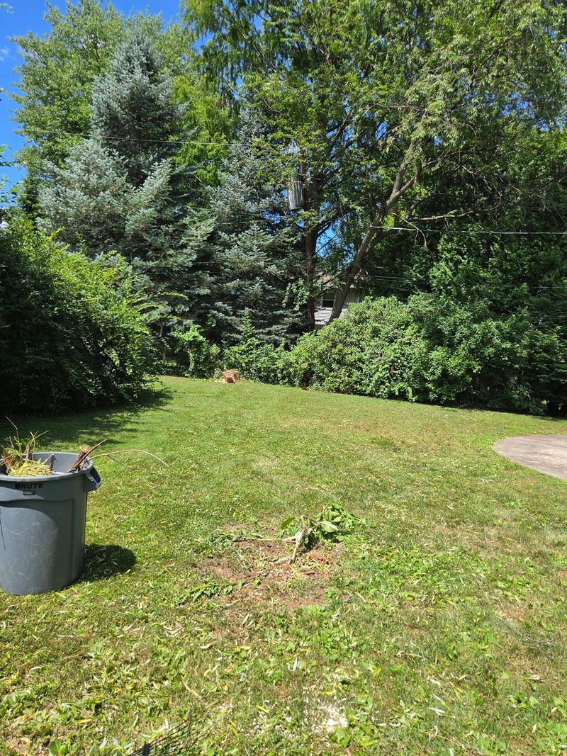 The same Lehigh Valley back yard cleaned up after storm damage, with the broken limb hauled away
