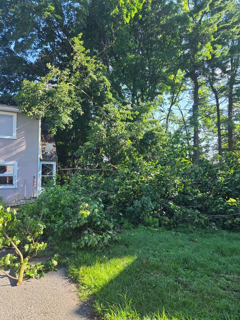 Storm damaged tree down on the roof of a house in the Whitehall PA area