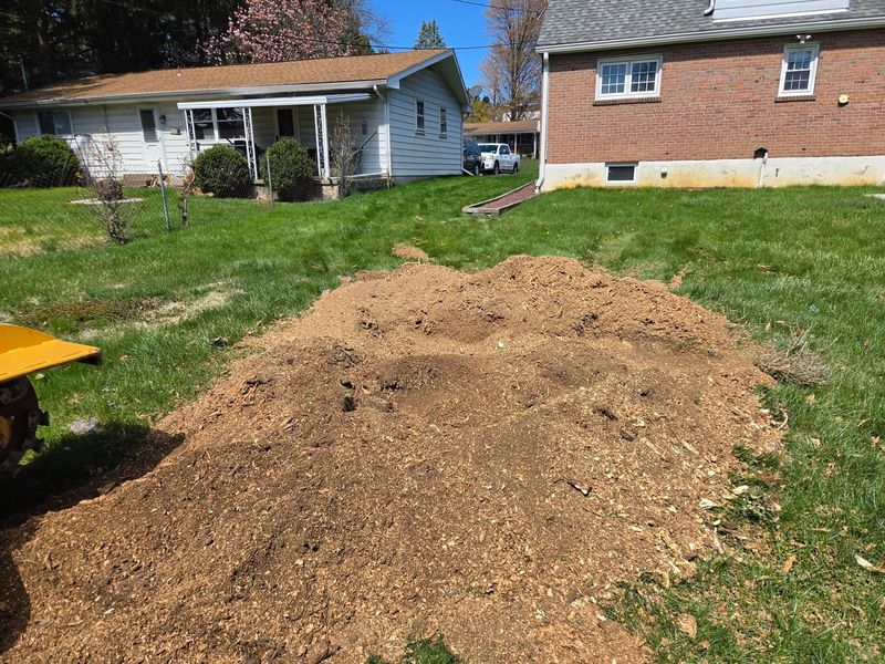 The same Lehigh Valley yard with the stump completely ground down to a pile of clean wood chips