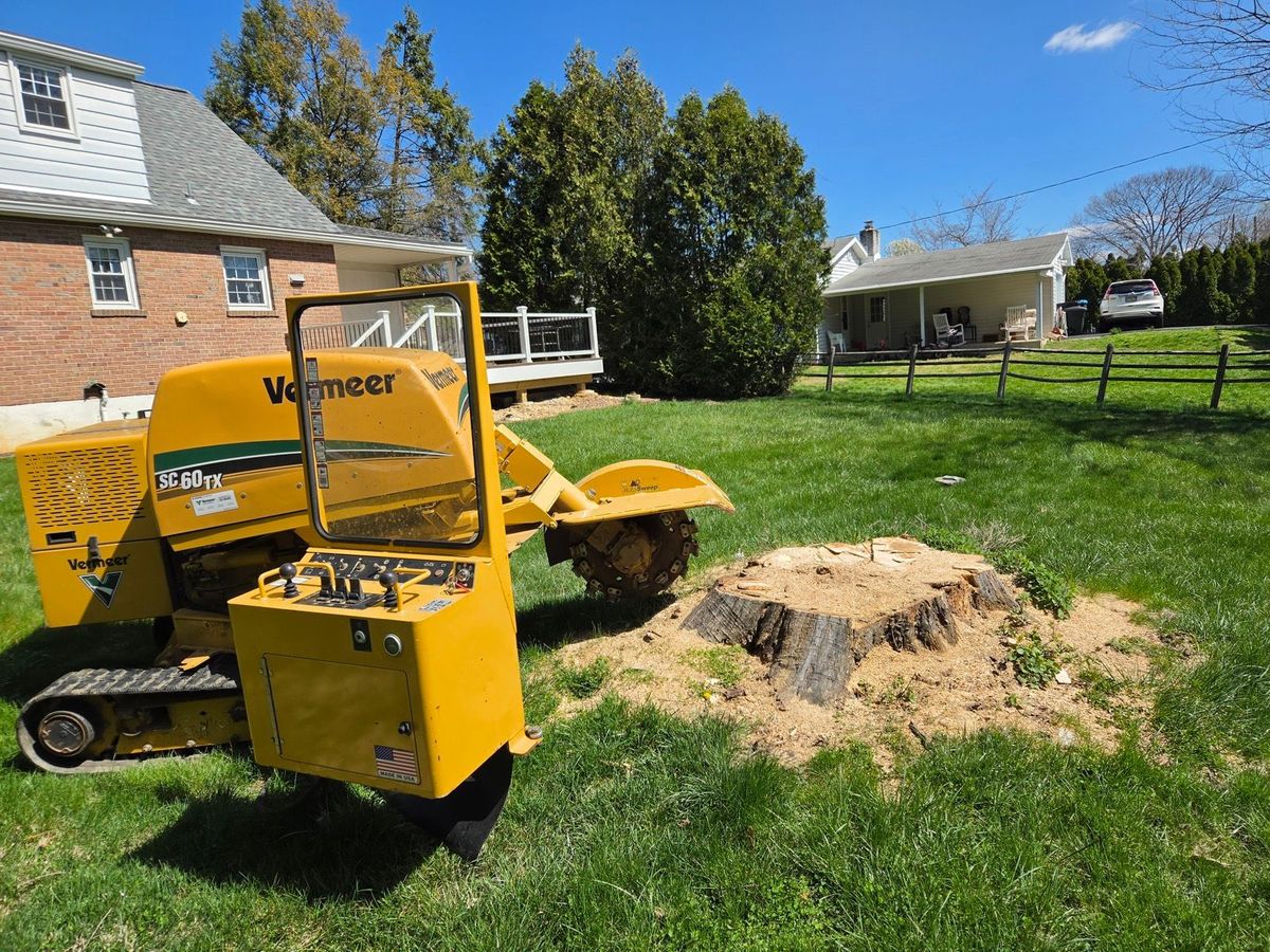 Eco Tree Service Vermeer SC60TX stump grinder parked beside a large tree stump in a Lehigh Valley back yard