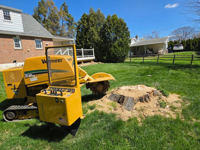 Eco Tree Service Vermeer SC60TX stump grinder parked beside a large tree stump in a Lehigh Valley yard