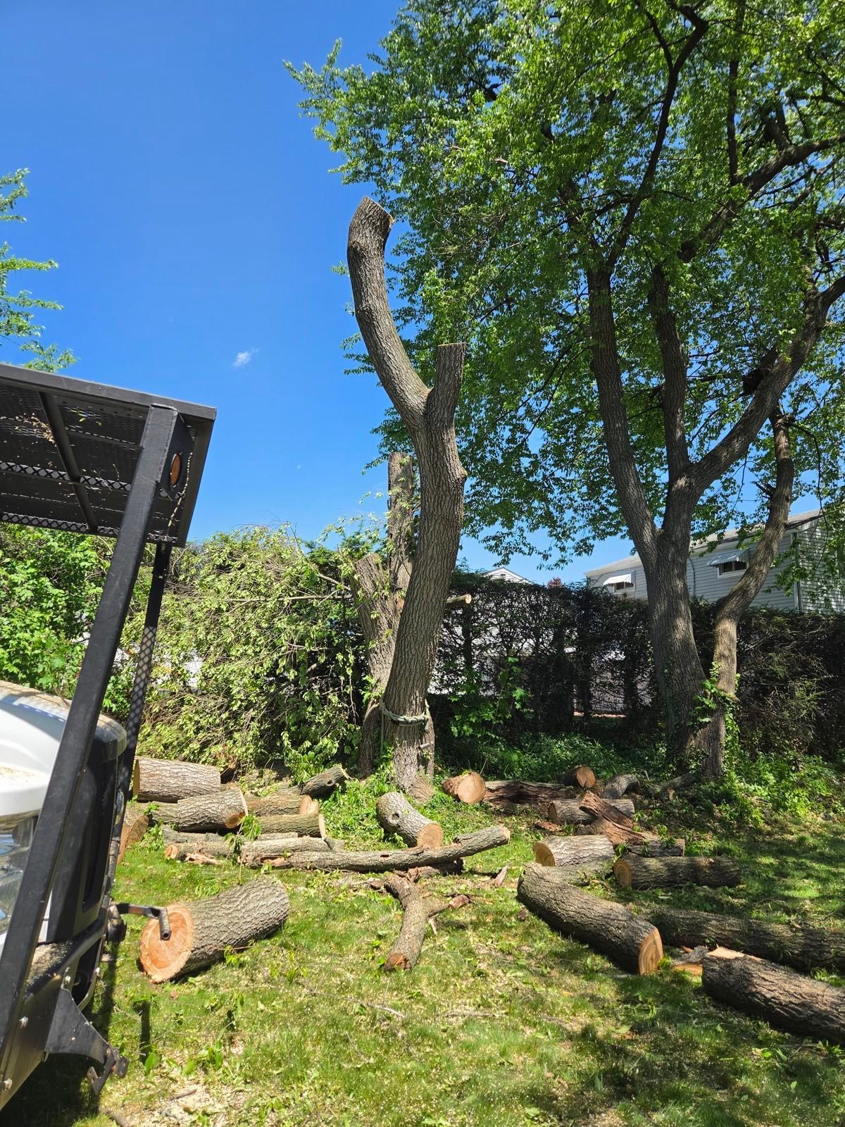 Eco Tree Service crew working on a commercial property in the Lehigh Valley