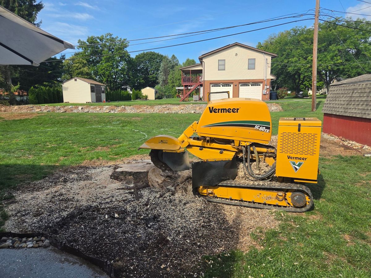 Eco Tree Service Vermeer SC60TX stump grinder cutting down a stump in a Lehigh Valley yard