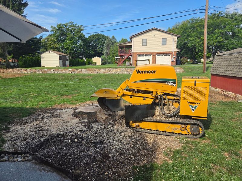 Eco Tree Service Vermeer SC60TX stump grinder cutting down a stump in a Lehigh Valley yard