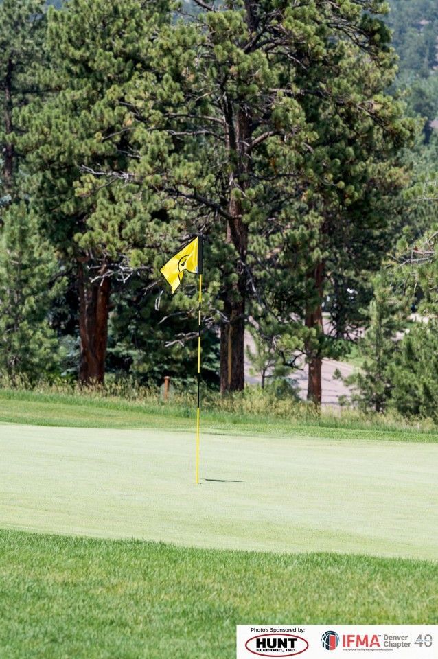 Green golf course with a yellow flag, trees in the background.