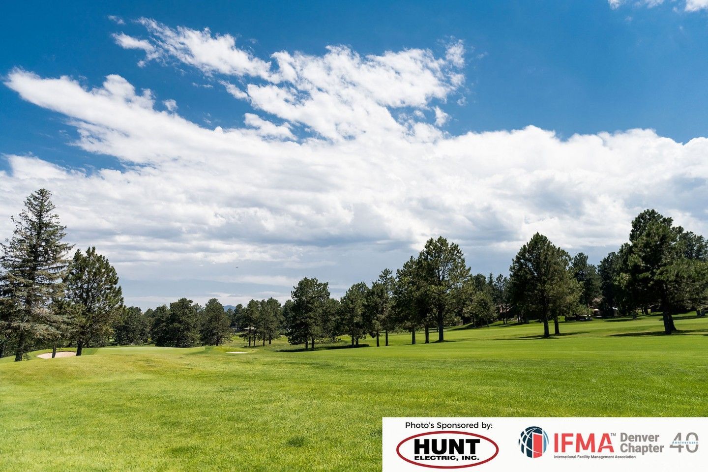 Green grassy field with trees under a blue sky with white clouds.