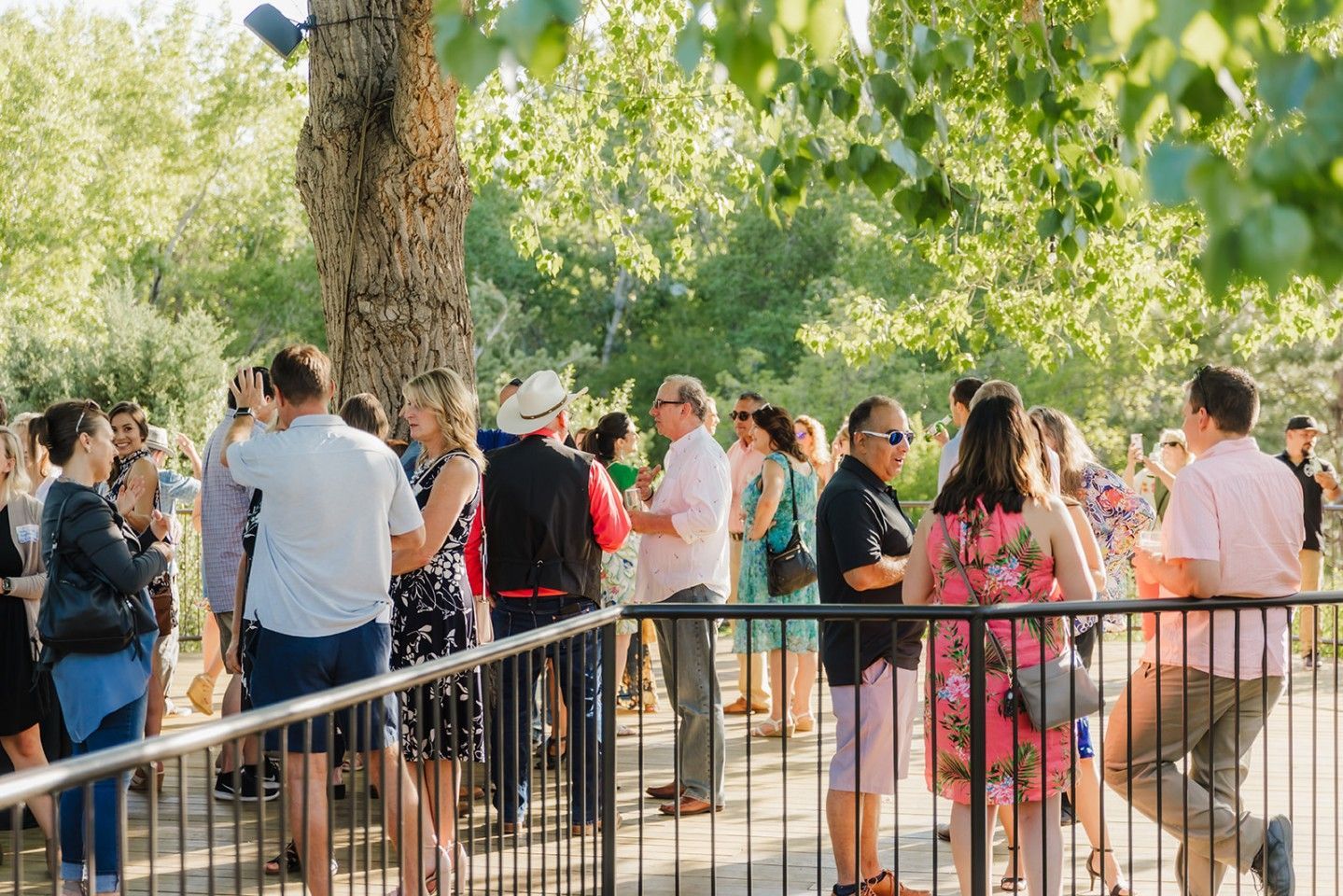 People socializing outdoors; sunny day, tree, black fence, various outfits.