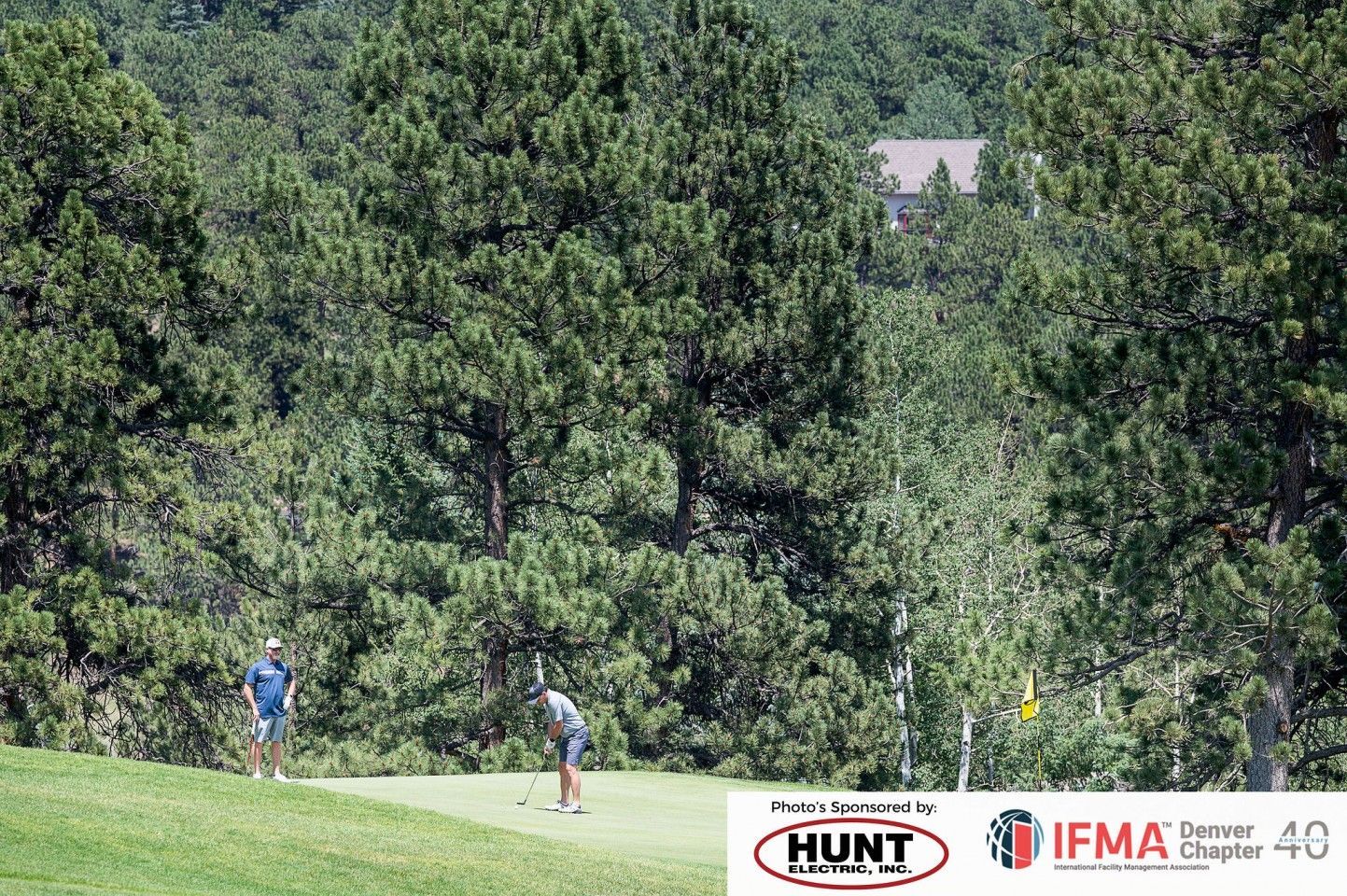 Golfers on a green course, trees in the background, sunny day.