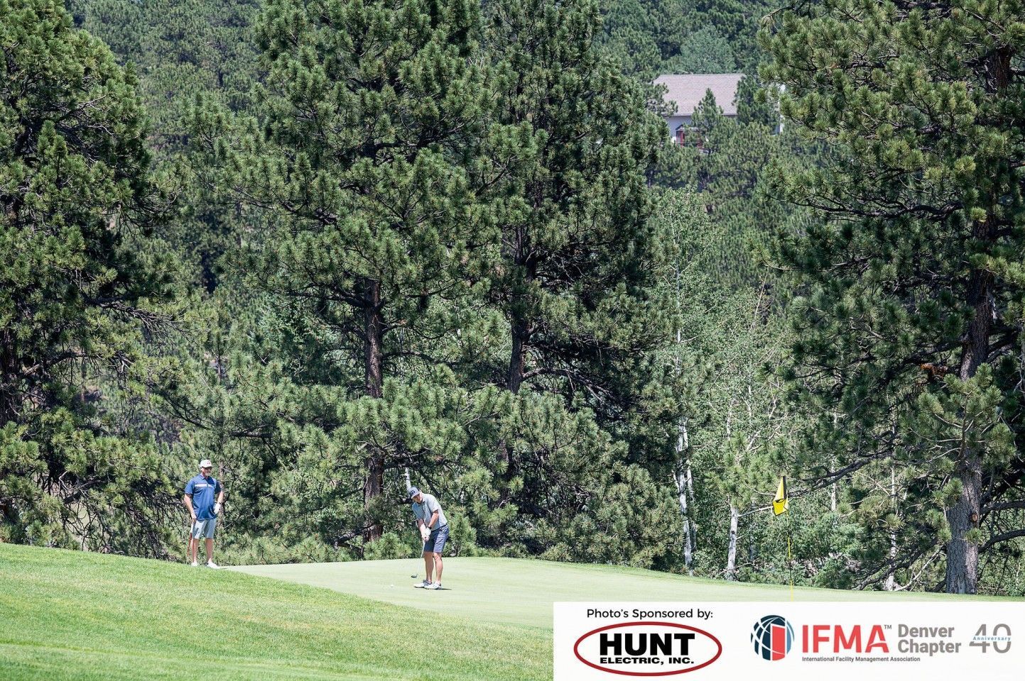 Golfer swinging club on a green, another watches. Pine trees in background on a sunny day.