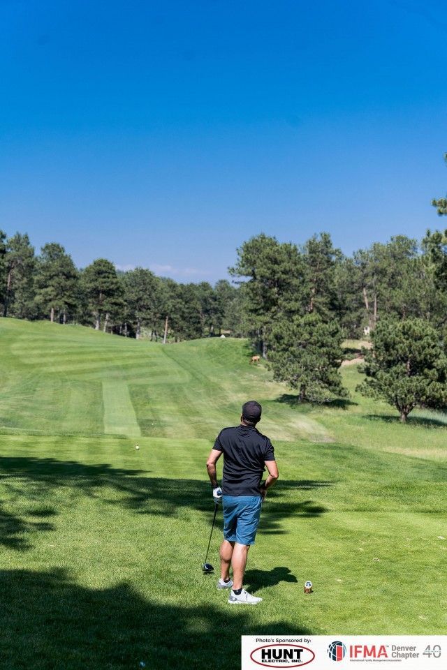 Golfer preparing to tee off on a sunny golf course, surrounded by green grass and trees.