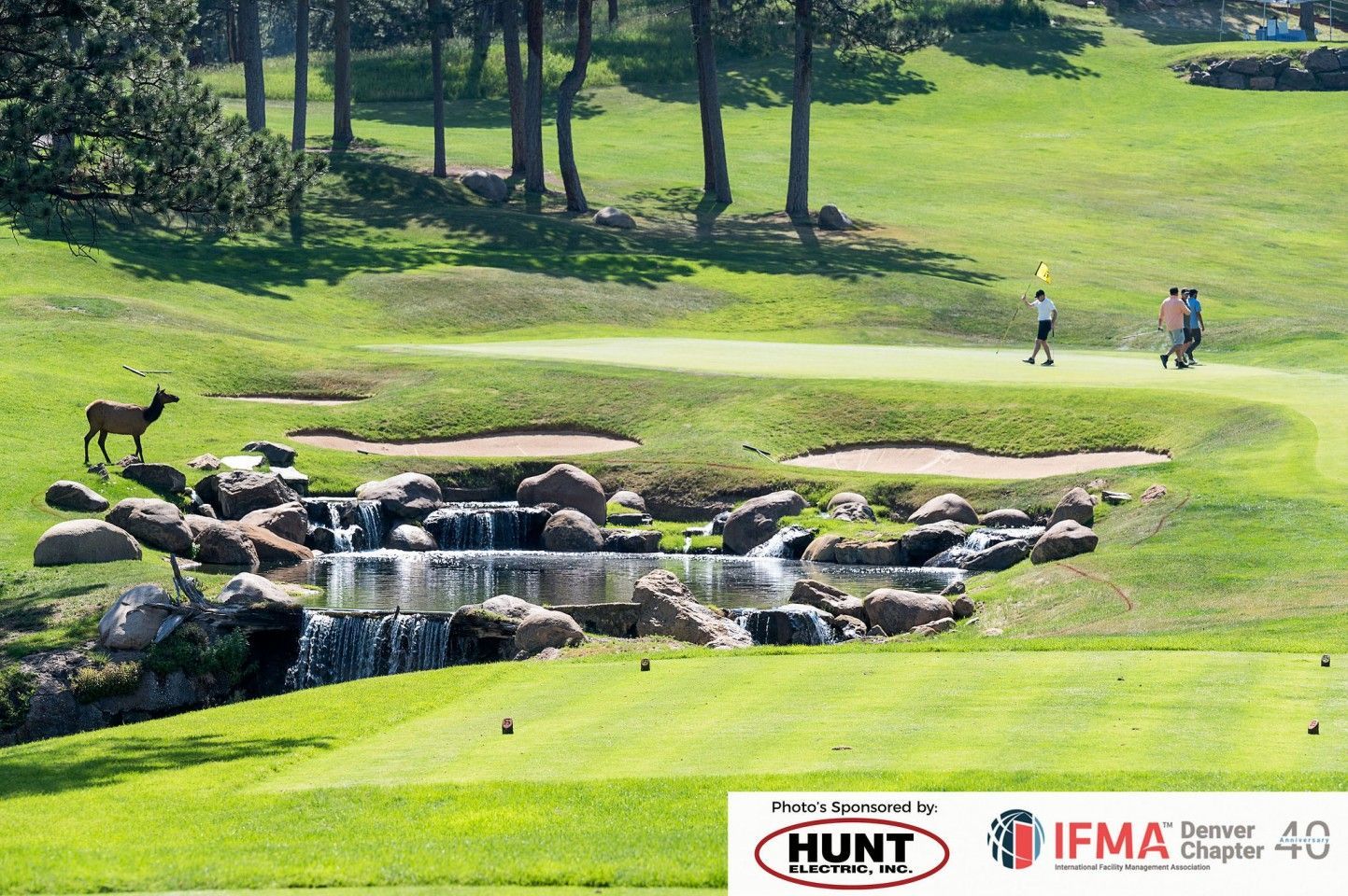 Golf course with water feature, elk, and golfers on a sunny day.