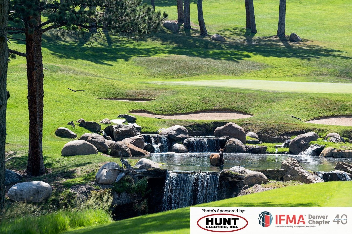 Golf course with a waterfall feature and green grass.