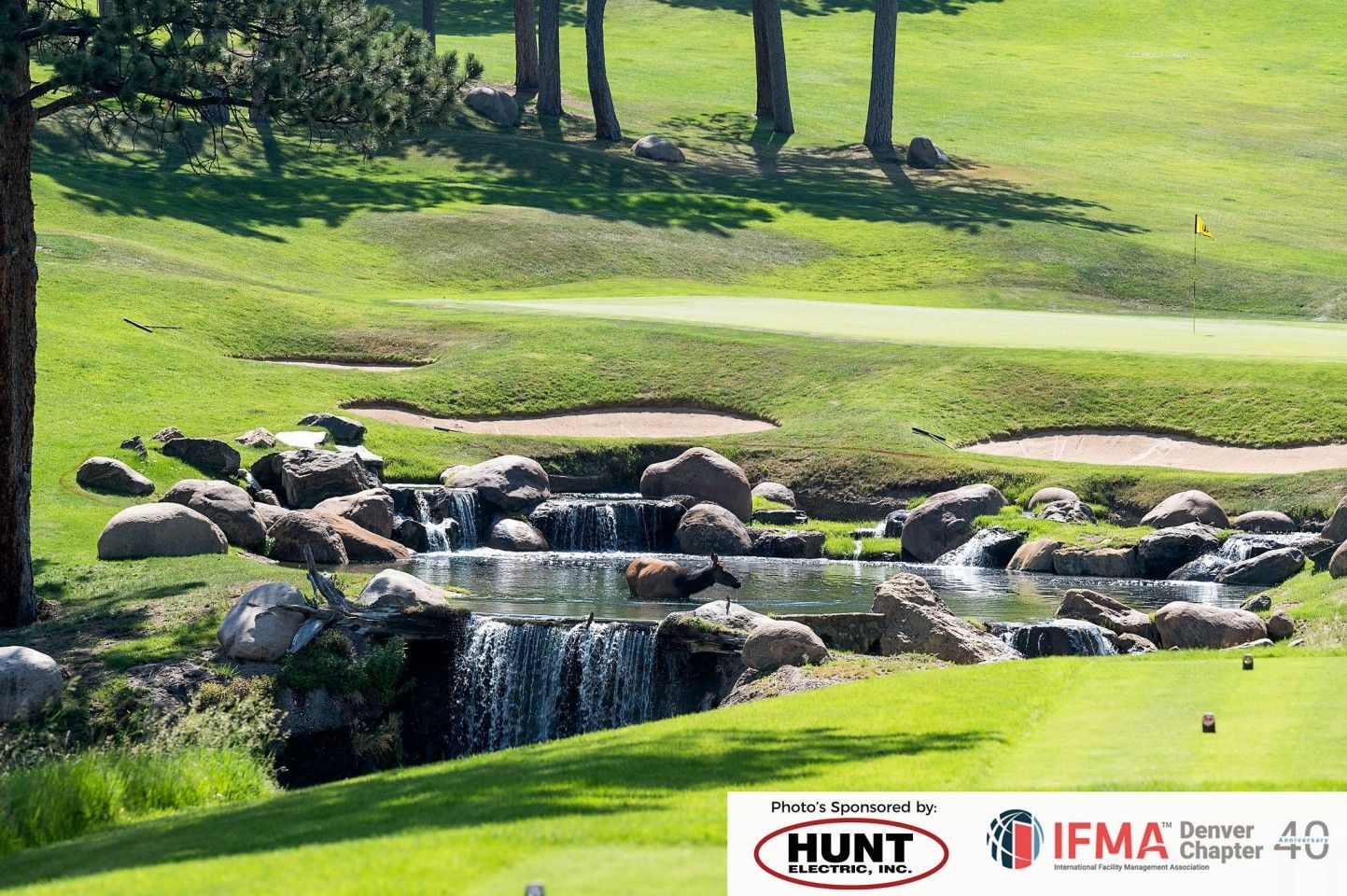 Golf course scene: Waterfall feature, green grass, trees, and bunker in the background.